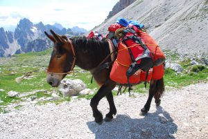 In preparing for his own hike, Rob is carefully studying the training and dietary habits of seasoned experts.