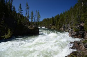 River Yellowstone Wyoming